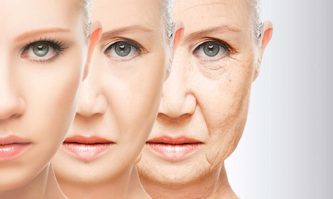 diferentes dibujos de cara de mujer que representan el envejecimiento facial 2