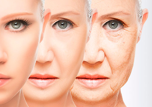 diferentes dibujos de cara de mujer que representan el envejecimiento facial