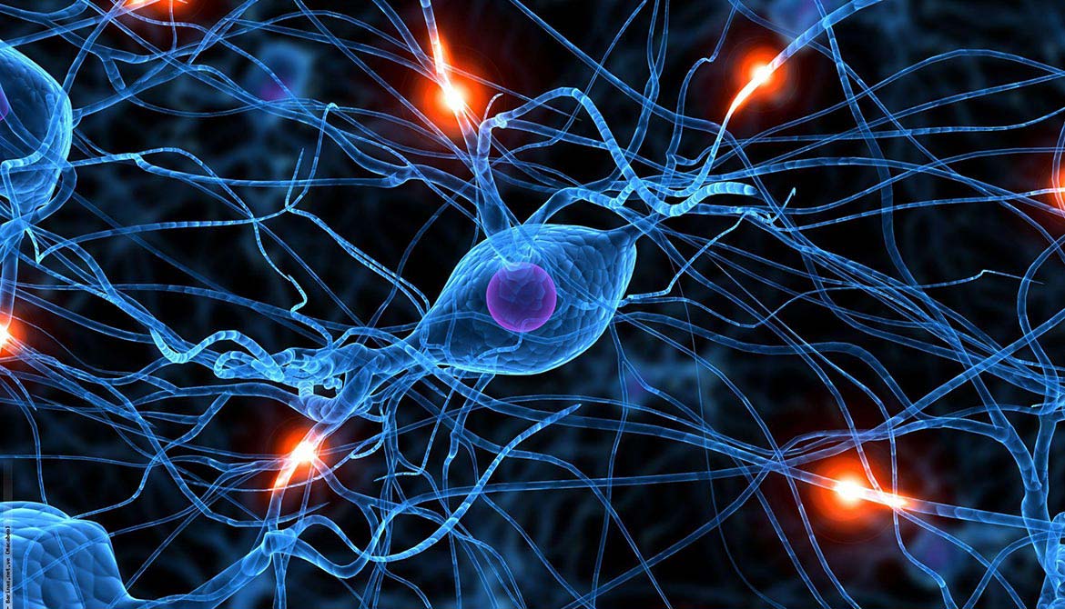 neuronas2